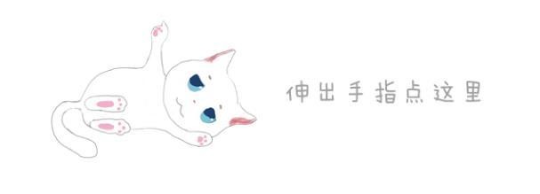 日本94岁老人养了一只橘猫，猫咪每天听老人说过去的事，太暖心！